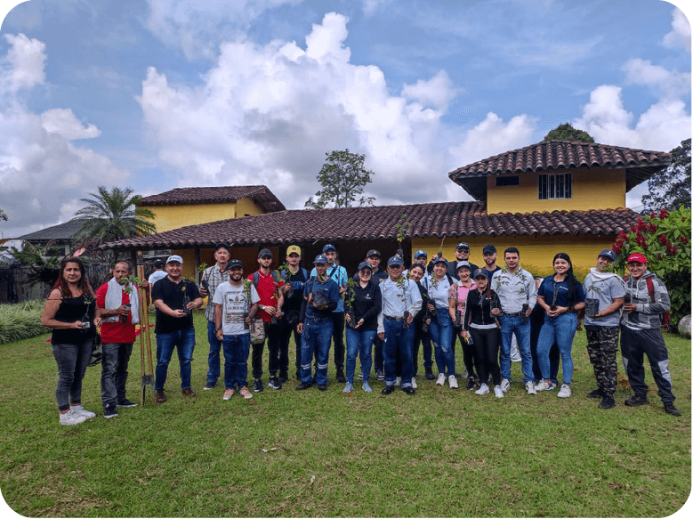 Ambiental